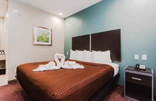 Spring Hotel | Express Inn - Spring