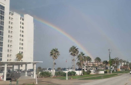 Plaza Shores Condo | Williams Surf Side Ocean front & turtles condo 2 king BR in Ormond Beach FL