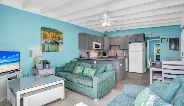 2 BED/2BATH OCEAN FRONT CANAL - BRING YOUR BOAT OR RENT ONE! in Key Colony Beach