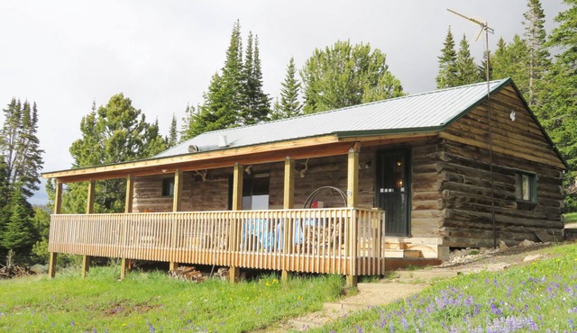 A Western Rose Cabin Shell, WY: The Big Horn Mountains ELK HUNT AREA 41 in Shell
