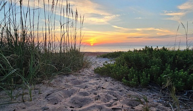 Beach Family Retreat w/HOT TUB, Fire pit, Lots of games & only 100 Steps to Sand in Ormond Beach