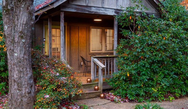 Blue Ridge Parkway cabin-2BR, hot tub, fireplace in Lyndhurst