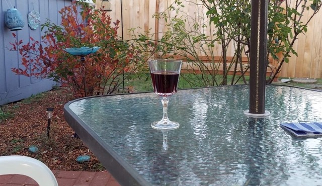 Blueberry Dreamer - Comfy Clean Sweet Retreat WiFi in Vancouver