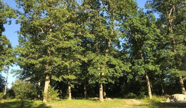 By Everything, Away from it all! Wi-Fi camping in Iron County in Ironton