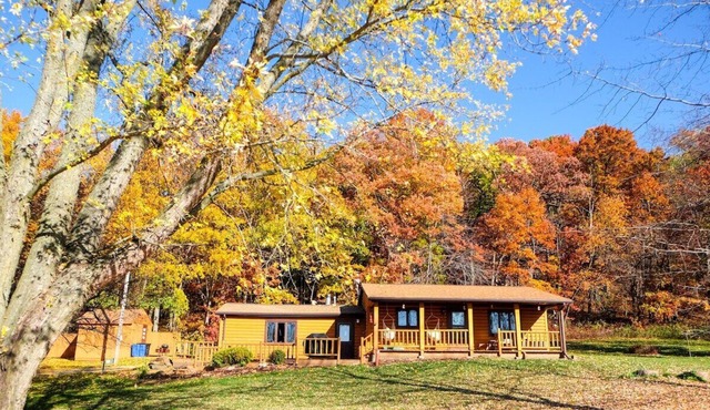 Charming cabin getaway in the woods, private trails, only 20 mins from WI Dells! in Lyndon Station