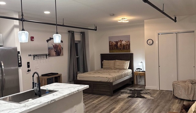 Charming studio apartment in fantastic Cleveland Tremont area in Cleveland