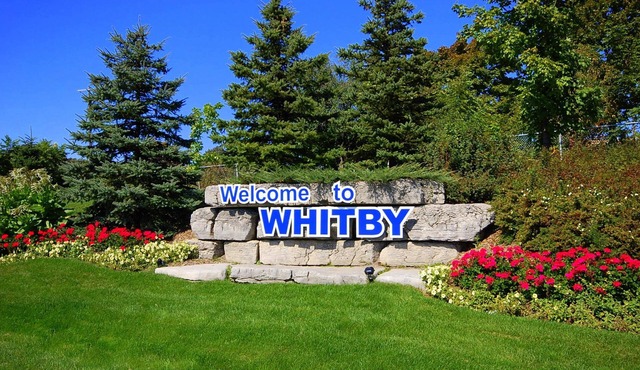 Clean and Spacious 4-bdrm Family home in Whitby! in Whitby