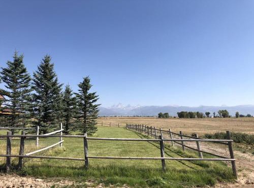 Cozy Cache Vista Tiny House with Summer Rates in Tetonia