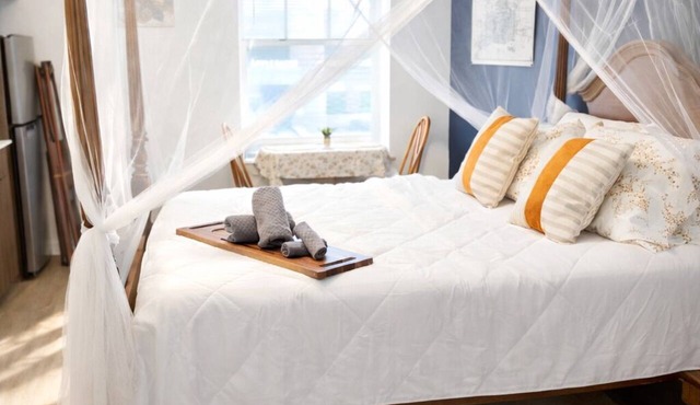 Cozy Studio Downtown Detroit Steps from Wayne State University in Detroit