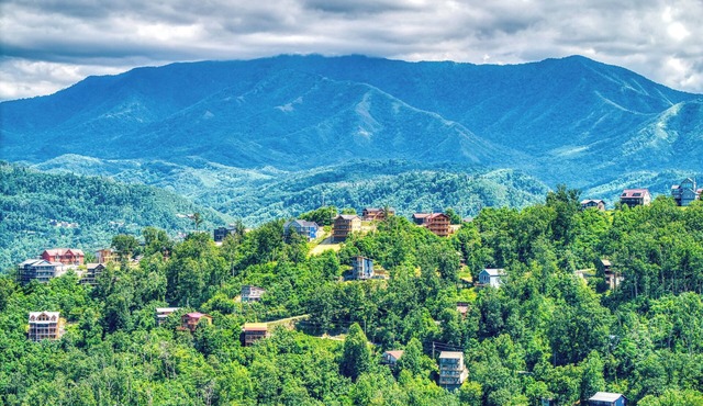 Key Lime Pie, Hot Tub,WIFI, FREE tickets each paid day! in Gatlinburg