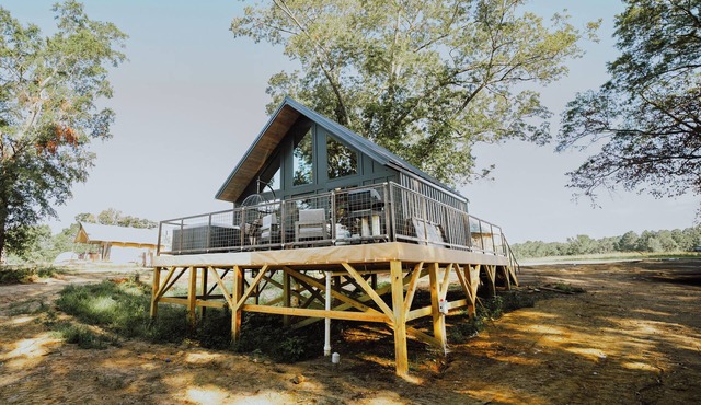 Lake Front Modern Cabin: Hot Tub, TV, & Lake Views in Cedar Bluff