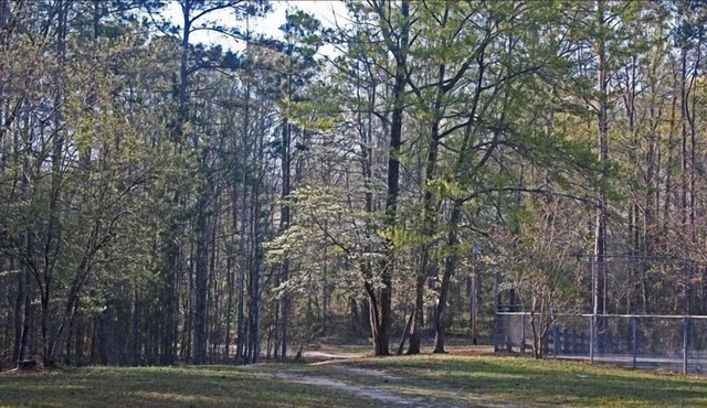 Lakeside Cabin - Great Fishing & Privacy at its Best! in La Grange