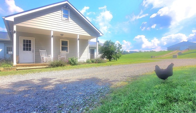 Lunar Loft, with mountain views in Bluemont