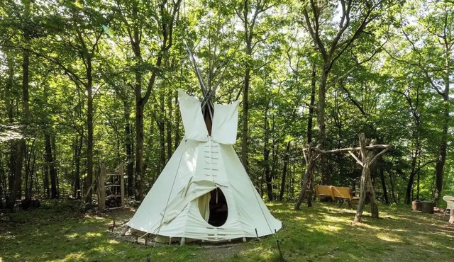 Magic Forest Farm Garden Tipi in Coeymans Hollow