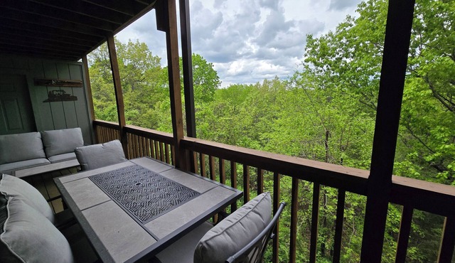 PEACEFUL STEP FREE RETREAT 2 MILES TO SILVER DOLLAR CITY PERFECT AUTUMN STAY in Branson West