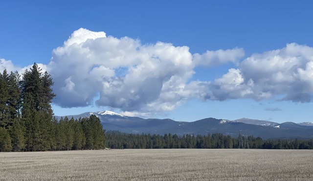 (pet friendly) Beautiful View in Colbert