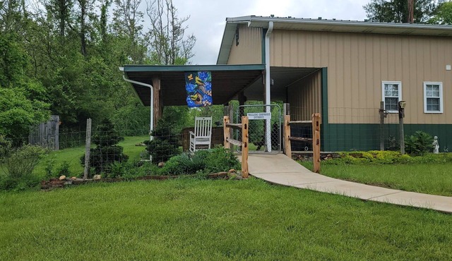 Pet-friendly, Tranquil Setting, Step onto NRT, Hike, Bike, Fish, Kayak in Ivanhoe