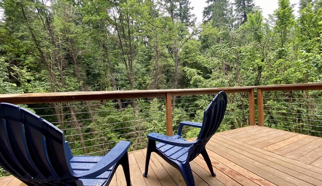 Quiet Cottage in the Trees - Close to Downtown, OHSU, Lewis & Clark! in Portland