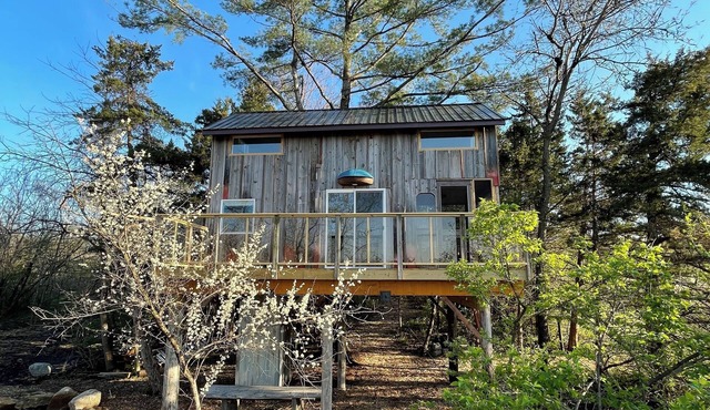 RARE Spacious Treehouse & Sauna Near Des Moines in Norwalk