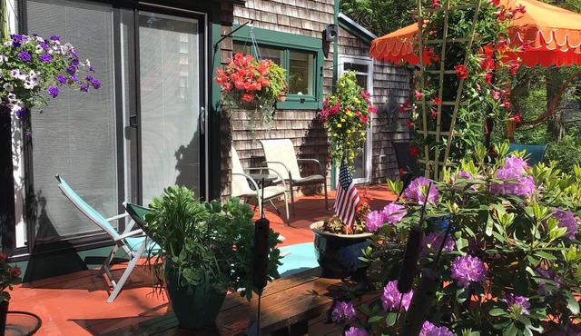 Relaxing clean cozy spacious artsy S. Wellfleet home delightful inside and out in South Wellfleet