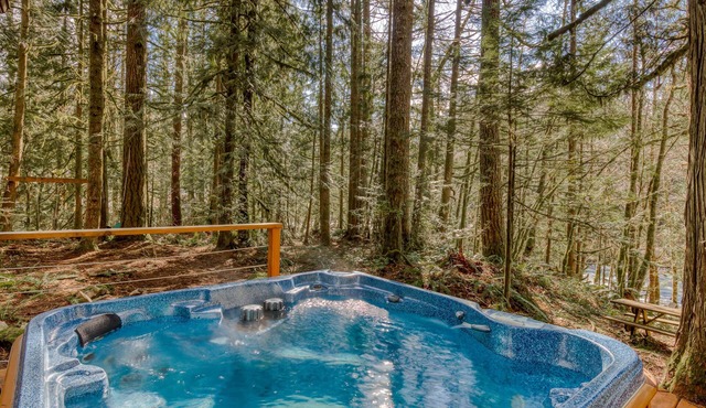 Rustic lodge with private hot tub, fireplace & riverfront views - dog-friendly in Rhododendron