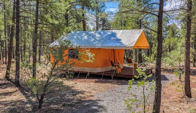 Safari Tent Glamping Near Grand Canyon in Williams, Arizona in Grand Canyon Village