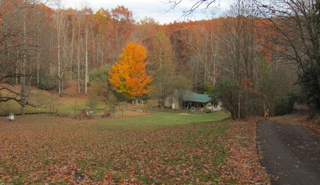 Secluded One Bedroom Cottage In Scenic Patrick County, VA in Stuart