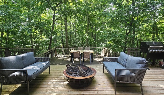 Serene 4-bedroom house with brook and forest in charming Racine in Racine