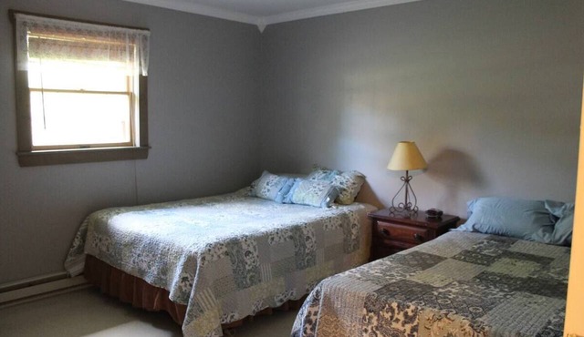 Serene 6-bedroom hotel suites with AC in Equinunk in Equinunk