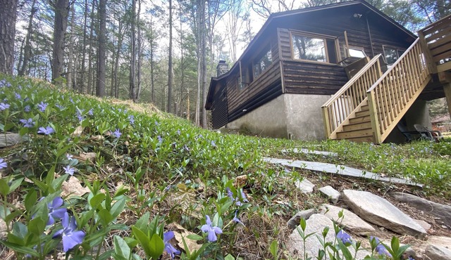 Serene Waterfront Log Cabin on 1 Wooded Acre with NEW REDUCED RATES FOR 2024! in Eldred