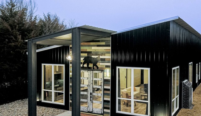 South of Norman, Cougar Cabin with Air Hockey, Fireplace in Purcell