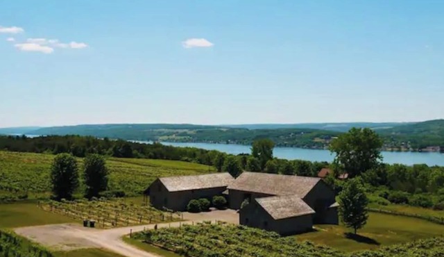 Spectacular Vineyard Estate above KEUKA LAKE in Penn Yan