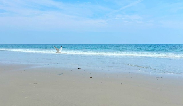 Steps to Beach seaside retreat. 3BR 2BA home where comfort meets charm; in Hampton