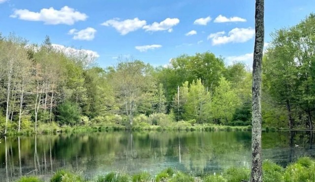 Sweet Suite Tiny House w/Zen Vibes on Quiet Lake in Woodridge