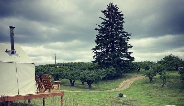 Tentrr Signature Site - Hidden Acres Orchards in Mead