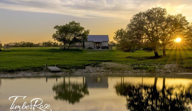 TimberRose in Fredericksburg