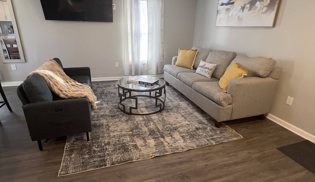 Upscale apartment near Worlds of Fun, Arrowhead Stadium, Country Club Plaza! in Kansas City