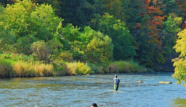 WATER FRONT- Cozy Country Home SPA, Pristine Lawns, wildlife & trails to Explore in Spokane