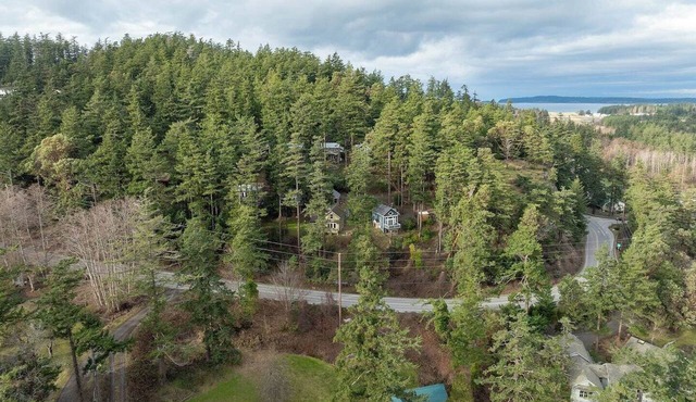 Water View, Impeccable Studio Cottage overlooking East Sound, Walk to Town, Close to Everything! in Eastsound
