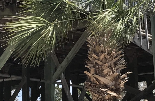 Spring Warrior Fish Camp #2 Located on the Gulf of Mexico in Perry