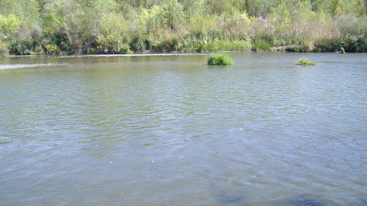 Photo of Others in Capay