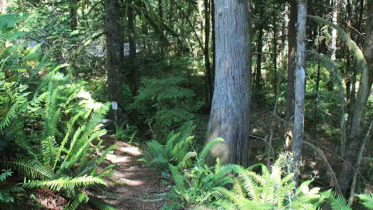Photo of Outdoor in Zigzag