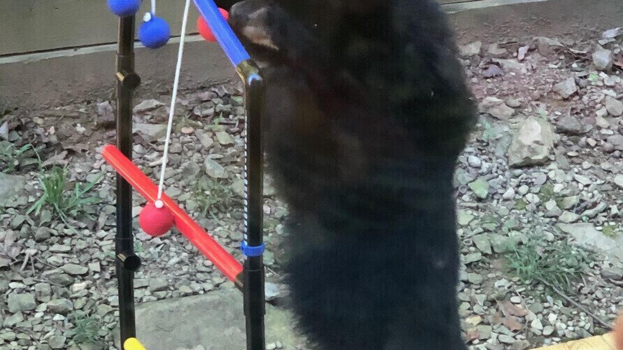 Photo of Others in Nellysford