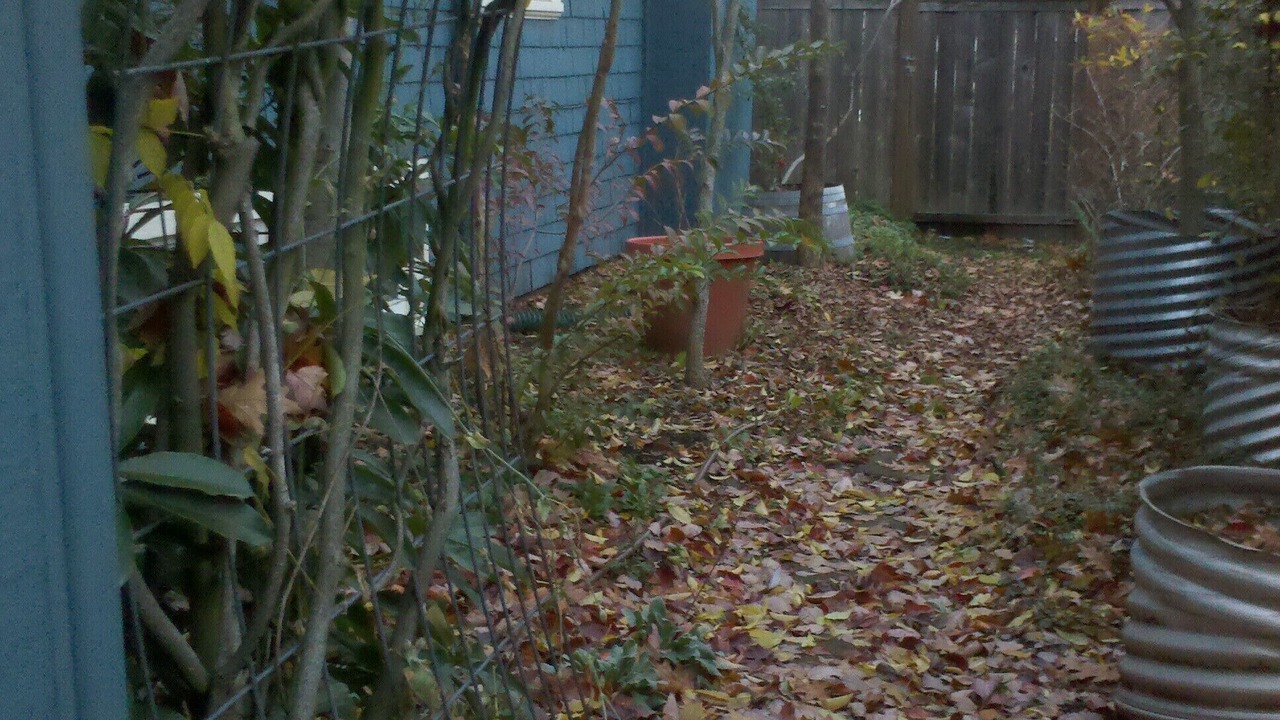 Photo of Outdoor in West Eugene