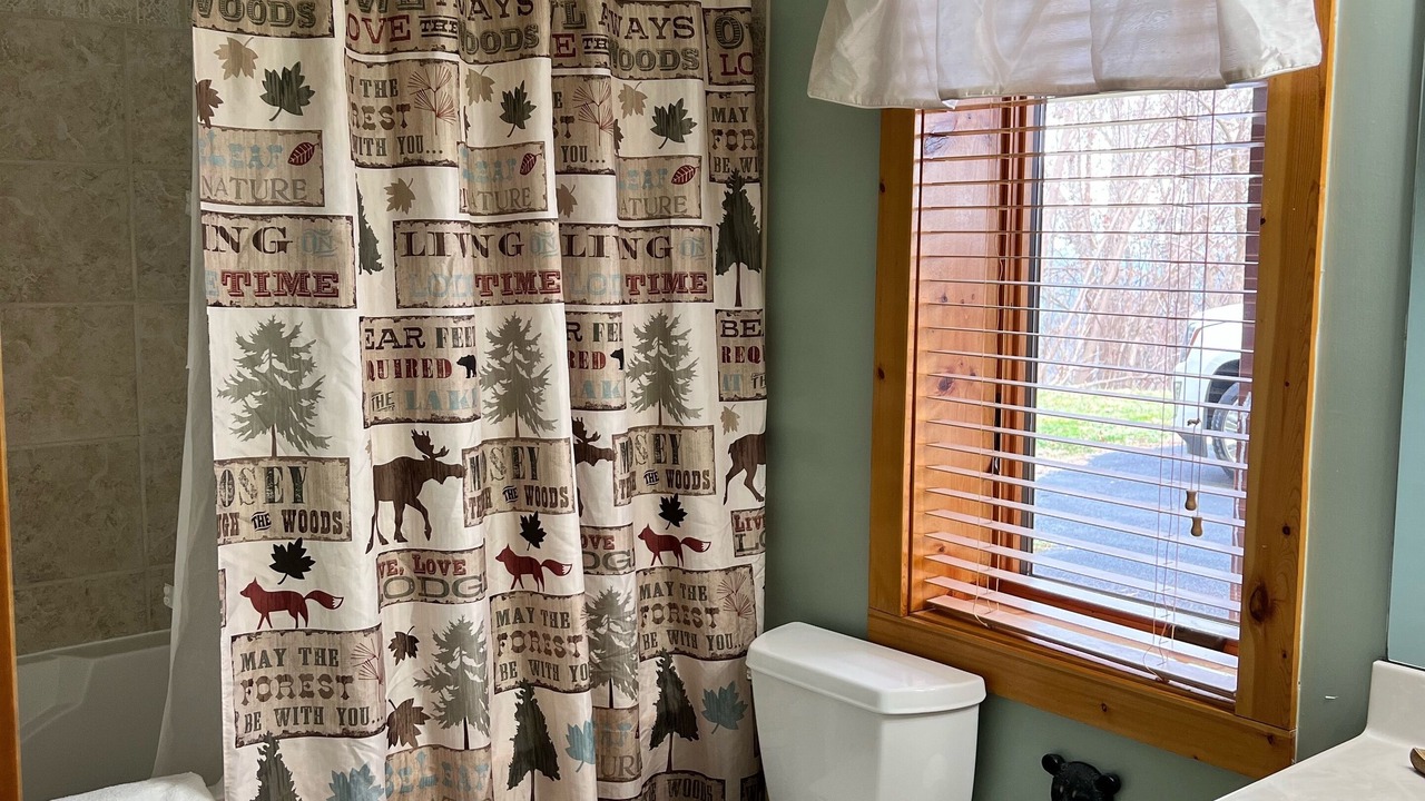 Photo of Bathroom in Sevierville