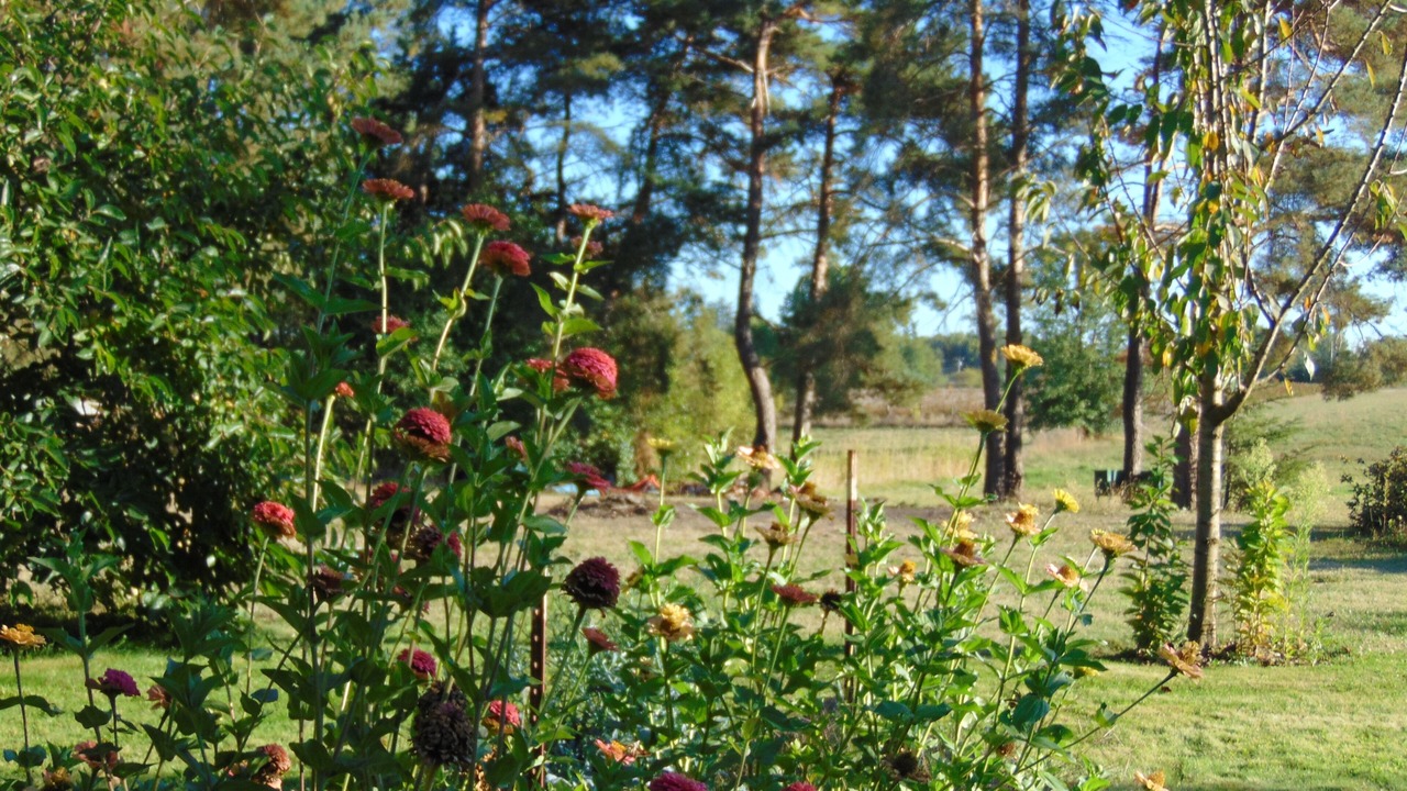 Photo of Outdoor in Canby