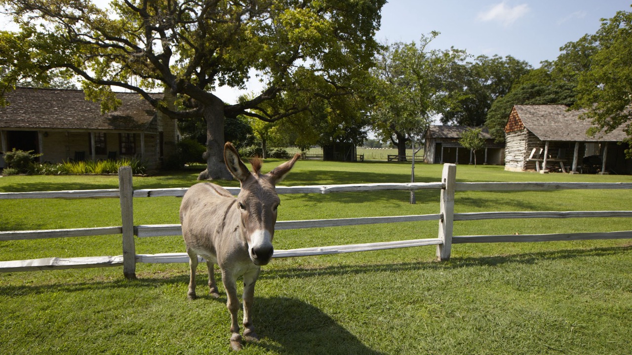 Photo of Outdoor in Fredericksburg