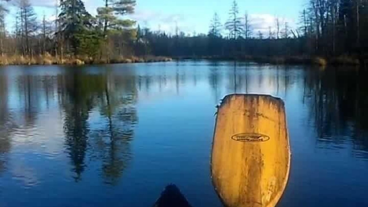 Photo of Outdoor in Pickerel