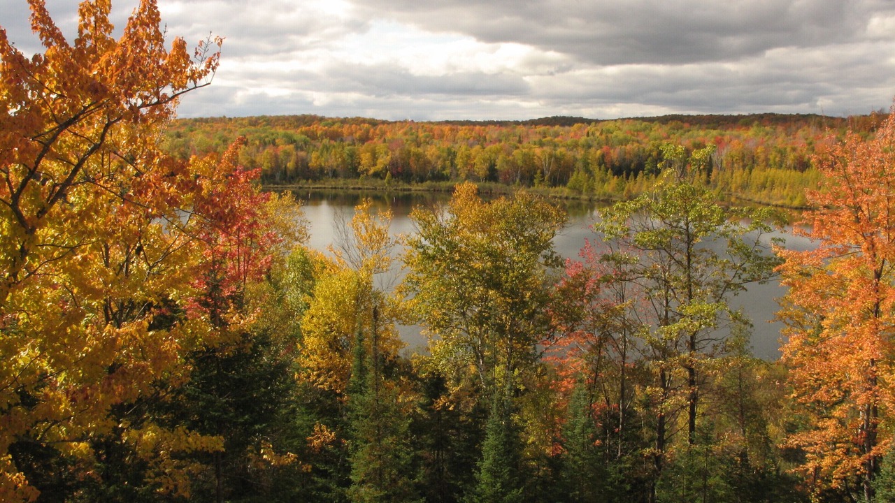 Photo of Outdoor in Pickerel