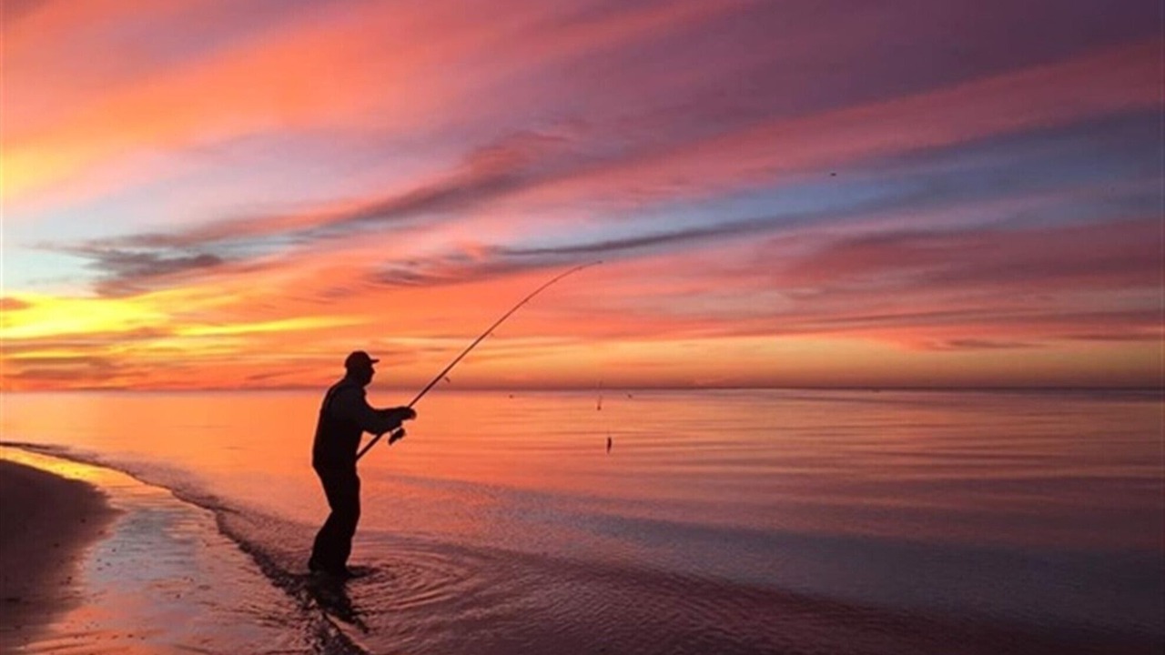 Photo of Others in Galveston